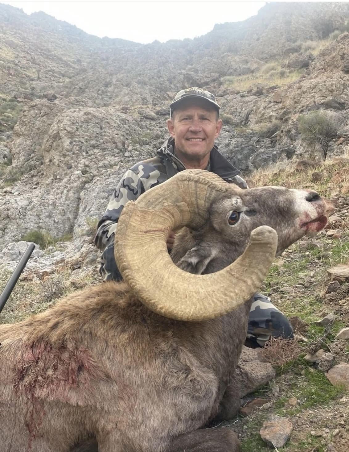 Alt Text is good for SEO